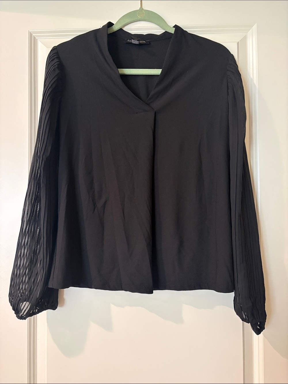 Carolyn Taylor Black Pleated-Sleeve Blouse